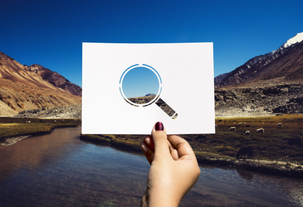 DP-Search an Image In Google Images